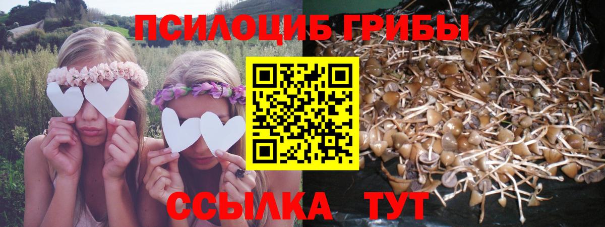 Галлюциногенные грибы Magic Shrooms  Вход с VPN  Хасавюрт 