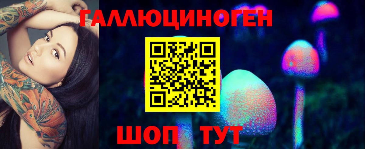 Псилоцибиновые грибы MAGIC MUSHROOMS Хасавюрт